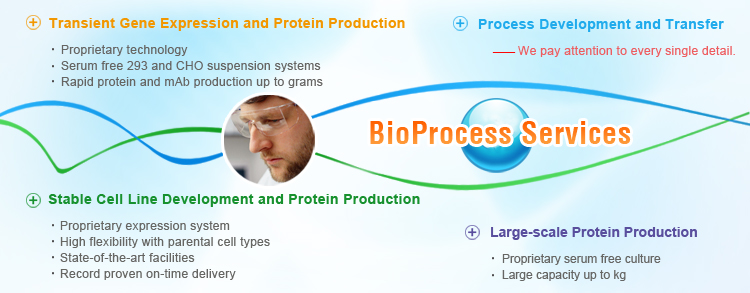 BioProcess Services: Mammalian Expression and Protein Production