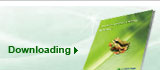 product catalog