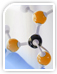 endotoxin assay