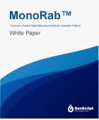 MonoRab White Paper