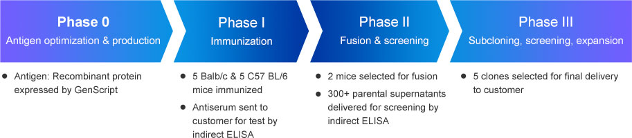 Custom mouse monoclonal antibodies case study