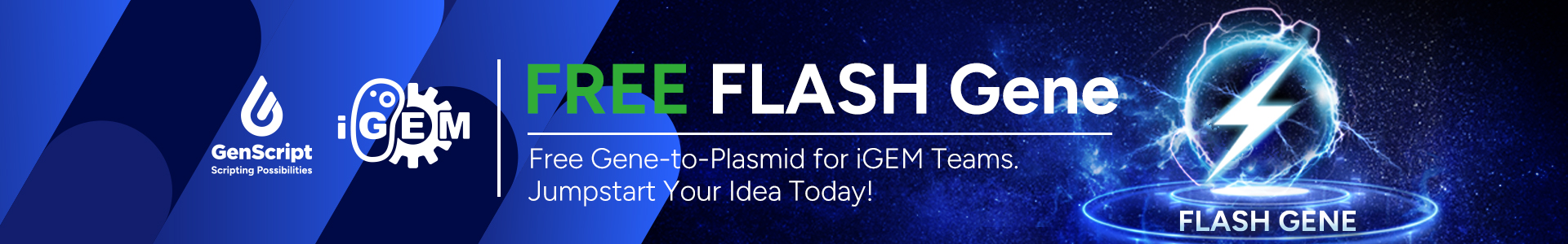 IGEM 2025