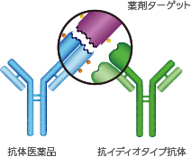 Antigen-blocking