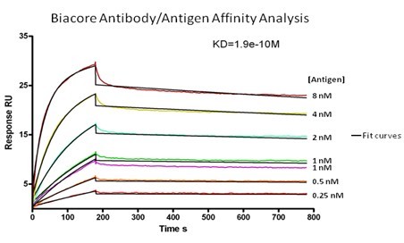 monoexpress antibody