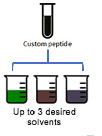 Solubility Testing Process and Deliverables