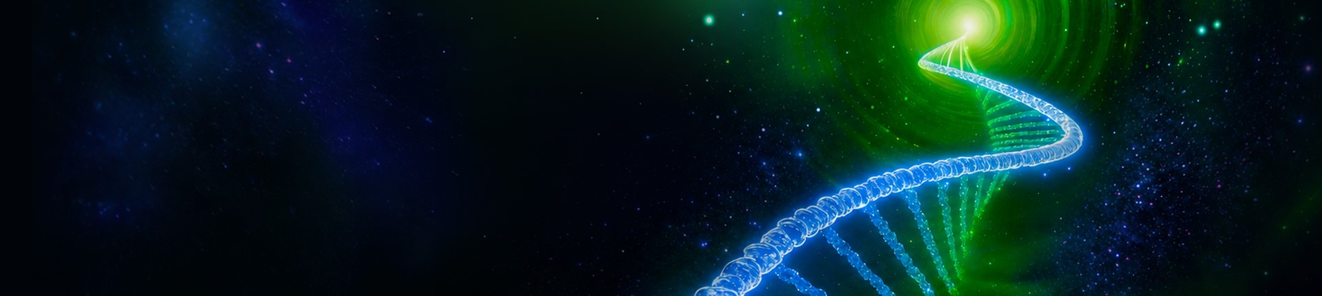 30% OFF RNA Month · 8月1日～31日