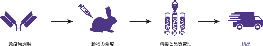 Anti-ID Polyclonal Antibody Package 