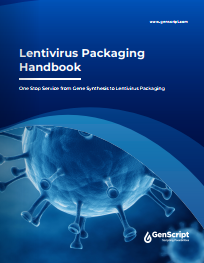 Lentivirus Packaging Handbook