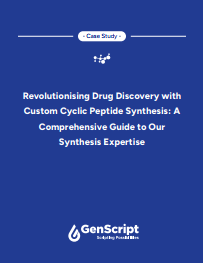 事例：環状ペプチド