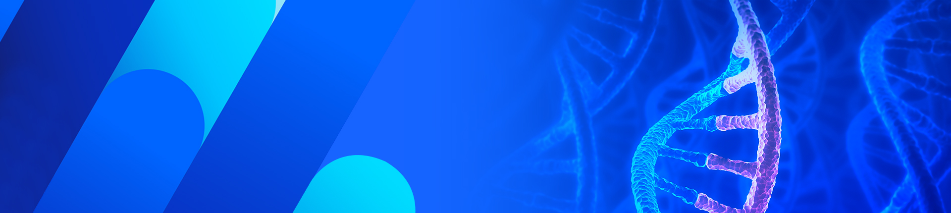 カスタムRNAオリゴ合成