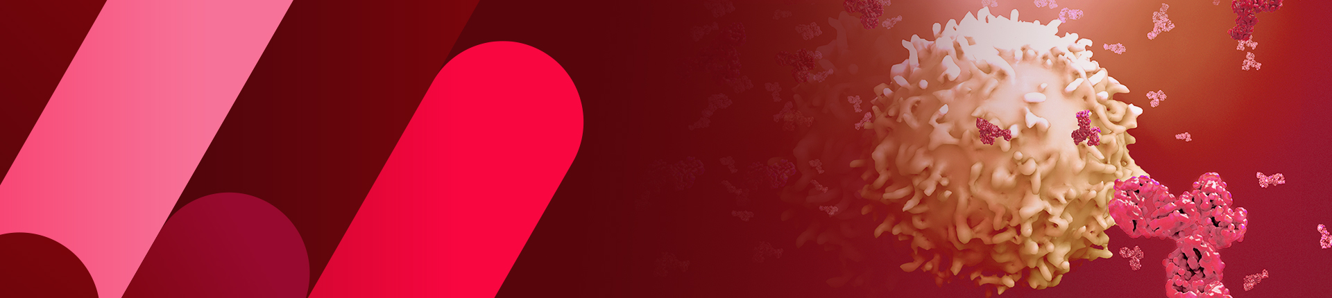 ELISA Kit Generation Service