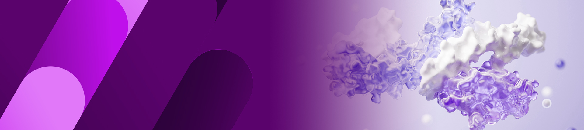 リコンビナントタンパク質発現サービス