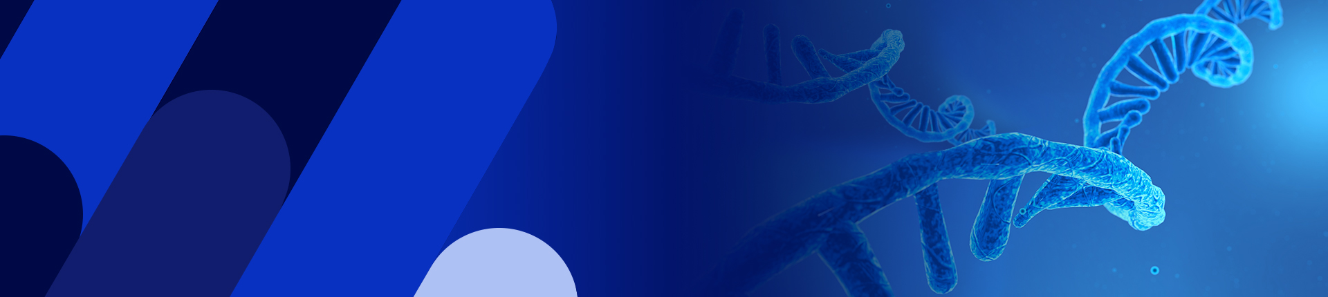 IVT mRNAおよび環状RNAカタログ製品