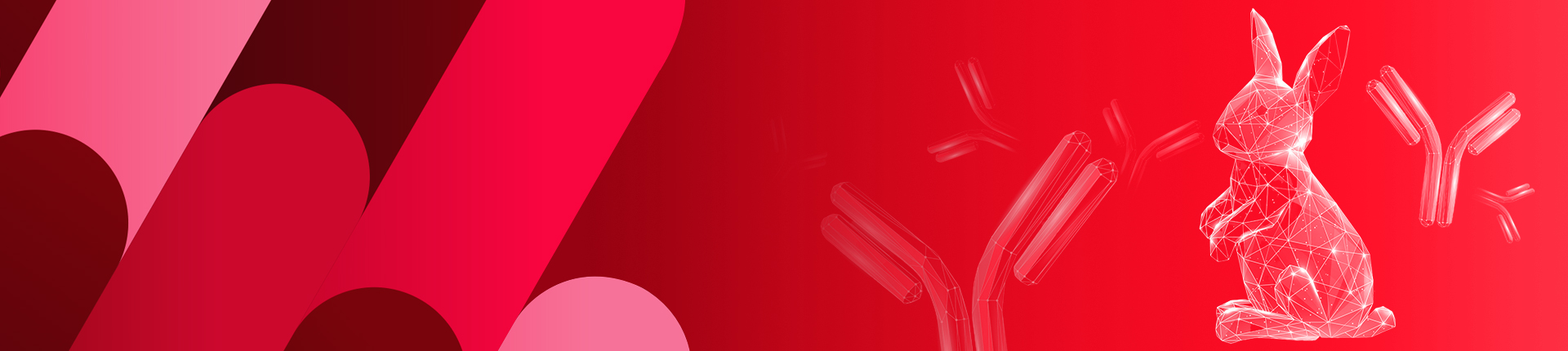 ウサギモノクローナル抗体作製サービス