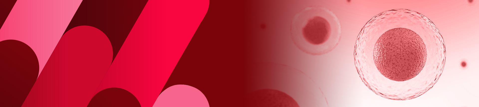 CellPower™ 細胞株作製サービス