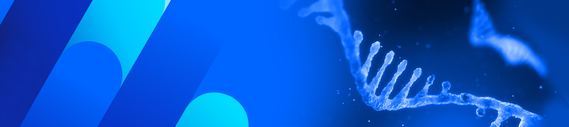 カスタムDNAオリゴ合成