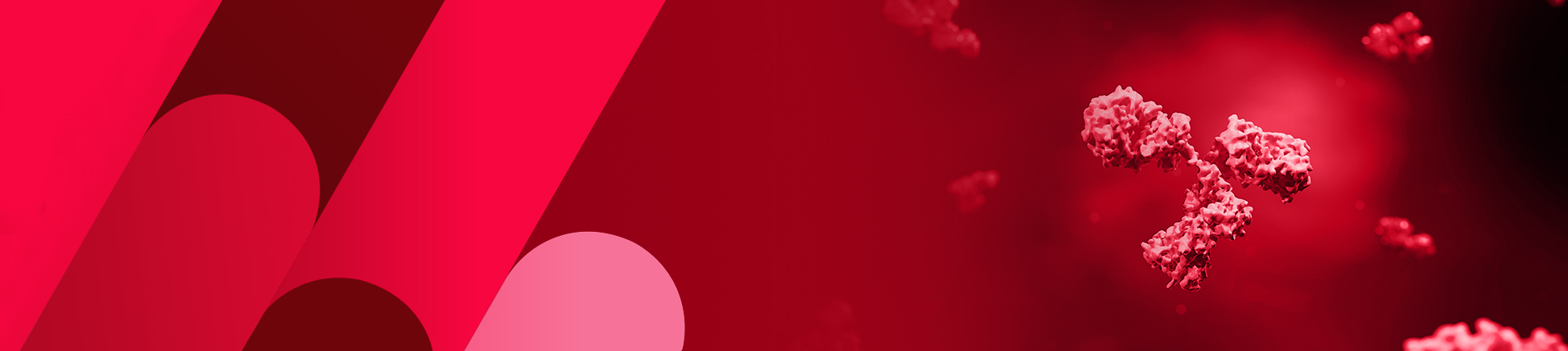 マウスモノクローナル抗体作製サービス