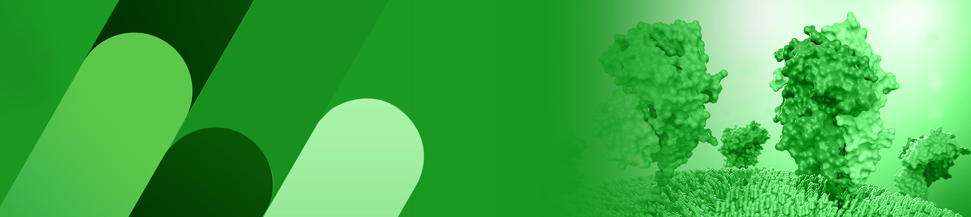 Peptide Modifications