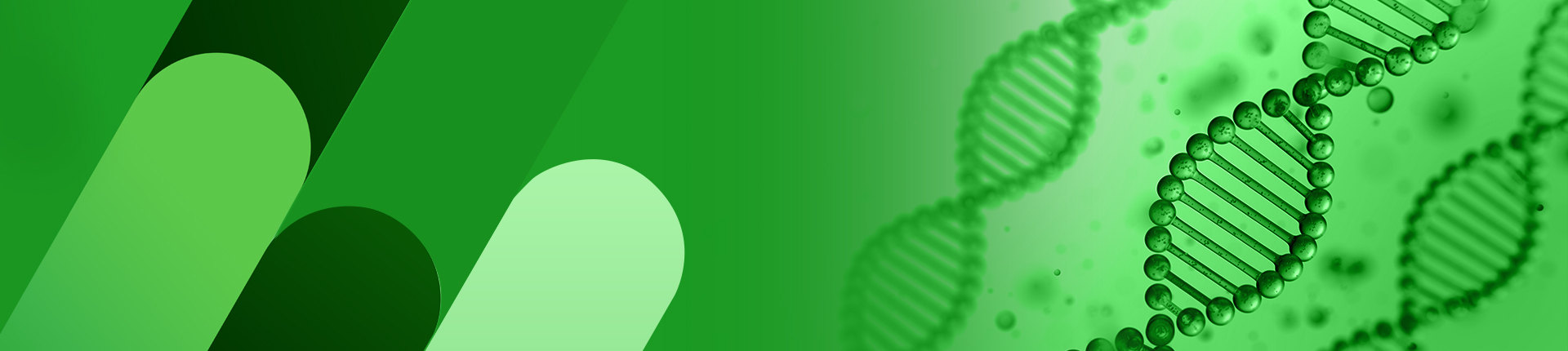 ペプチド溶解性試験