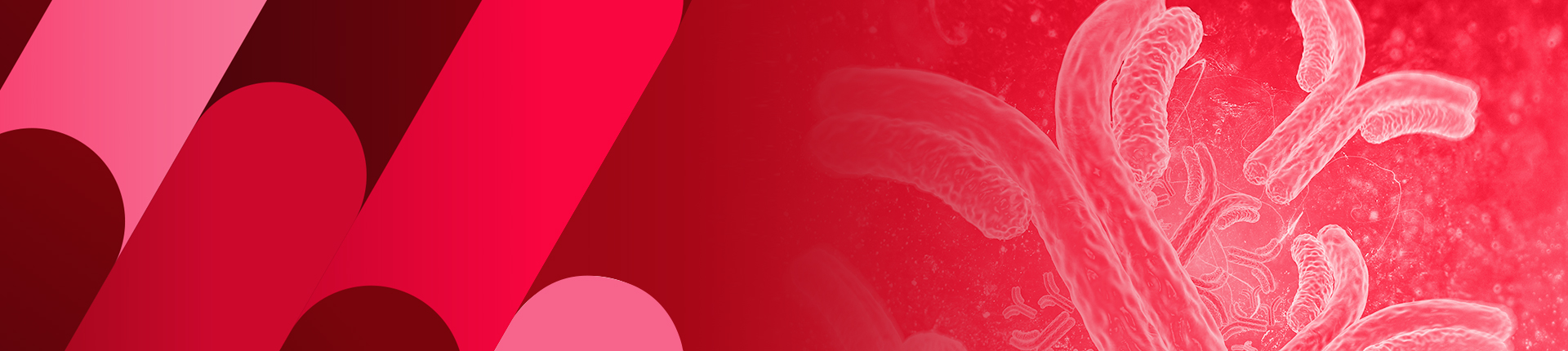 その他の抗体サービス