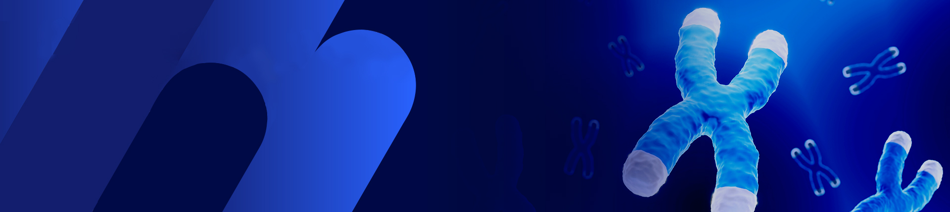 GenBrick™ 遺伝子合成サービス