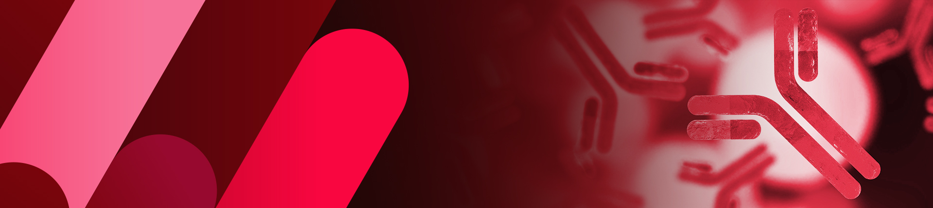 ELISA Kit Generation Service