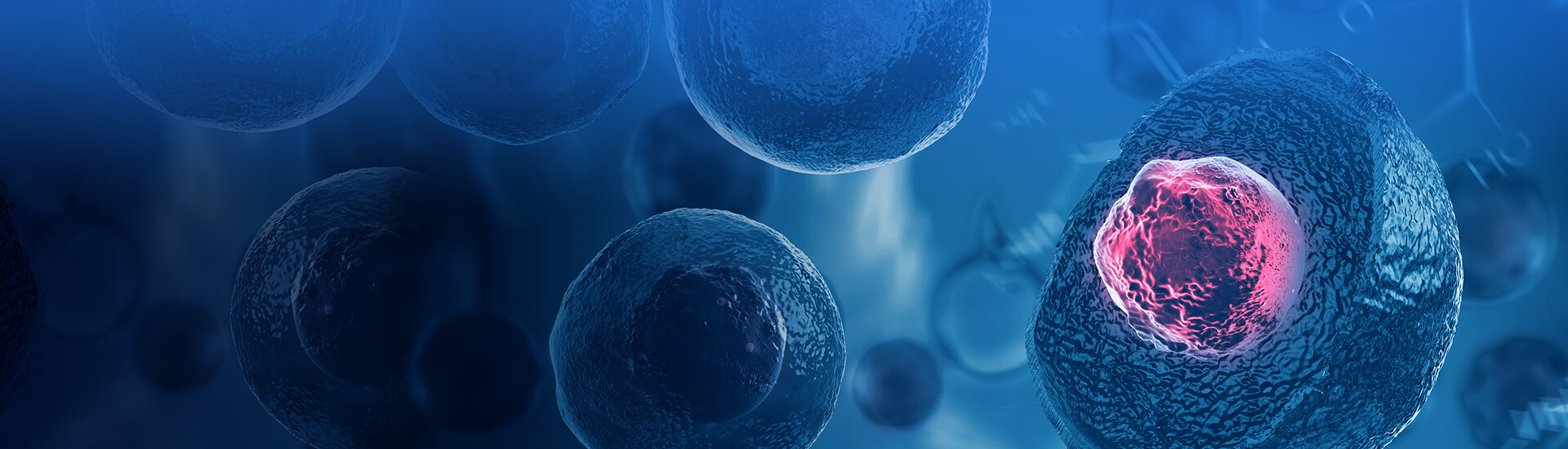 細胞療法ソリューション