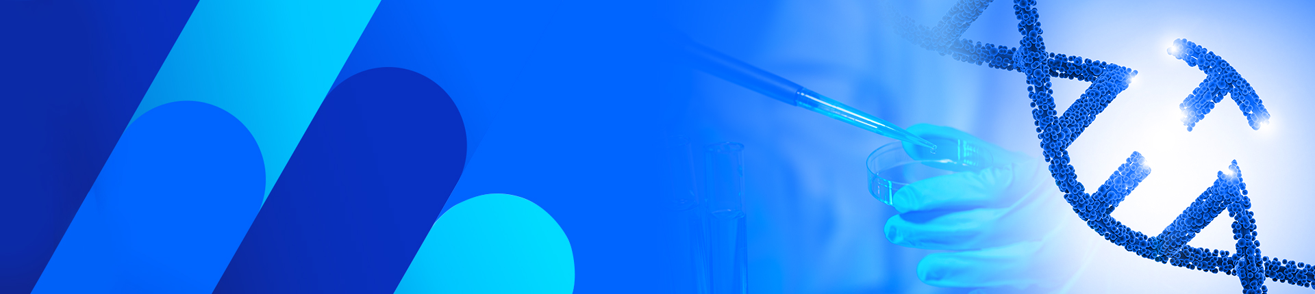 CRISPR非ウイルス性CAR-Tノックイン最適化キット