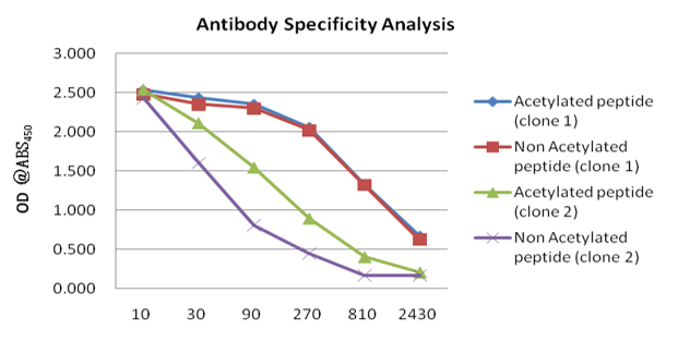 Conventional Protocol antibody specificity analysis