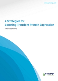 Optimizing Recombinant Antibody Expression