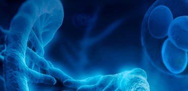 ADD Related Services