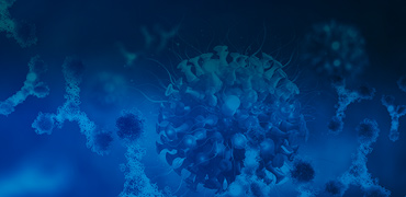 CGT related services 