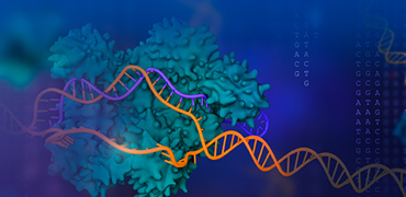 Gene Editing Services