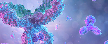 タンパク質解析