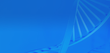 Economy Gene Synthesis