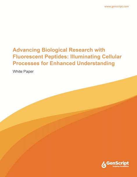 蛍光ペプチドホワイトペーパー