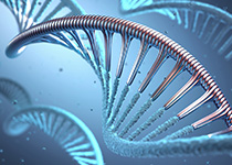 Genetic Modification